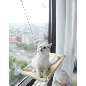 Arbre à chat extérieur pour fenêtre avec hamac