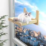 Arbre à chat extérieur pour fenêtre avec ventouses