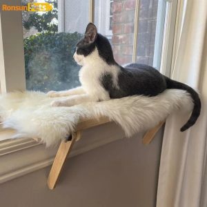 Arbre-a-chat-pour-voir-exterieur