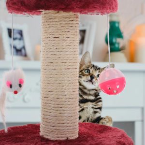 Petit-arbre-a-chat-griffoir-2-jouets-claret