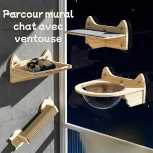 Parcours-mural-chat-plusieurs-options